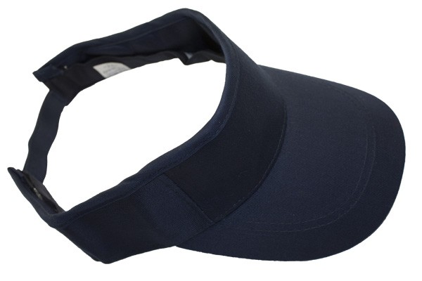 Visera